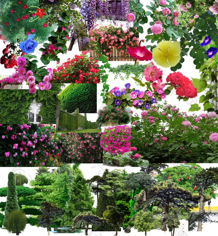 鲜花摆放图案平面设计图片