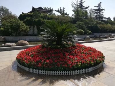 鲜花摆放图案平面设计图片