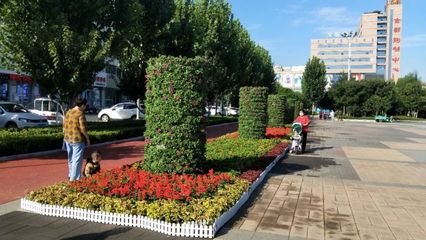 鲜花摆放图案平面设计图片