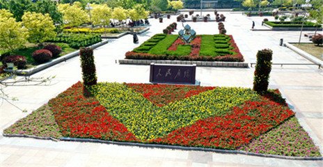 鲜花摆放图案平面设计图片