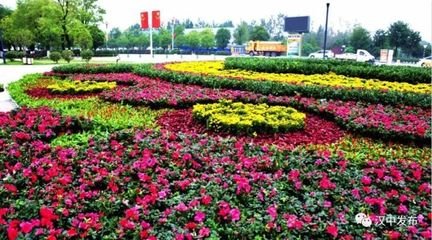 鲜花摆放图案平面设计图片