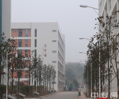 仁寿平面设计哪里好点呢
