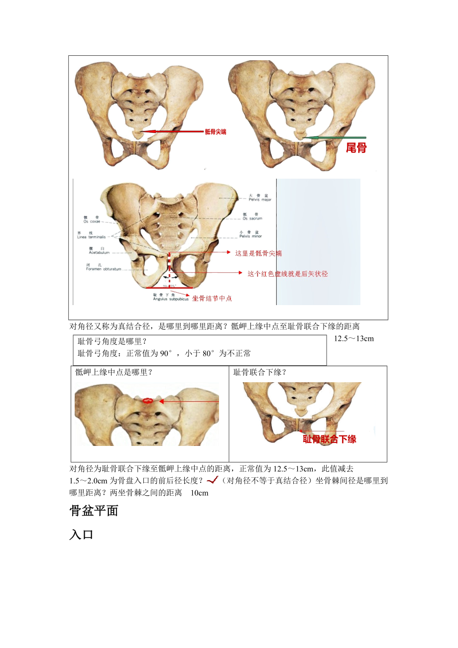 妇产骨盆平面设计方案