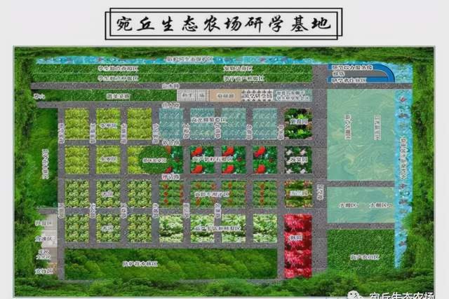 平面设计的校外实践