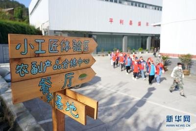平面设计的校外实践
