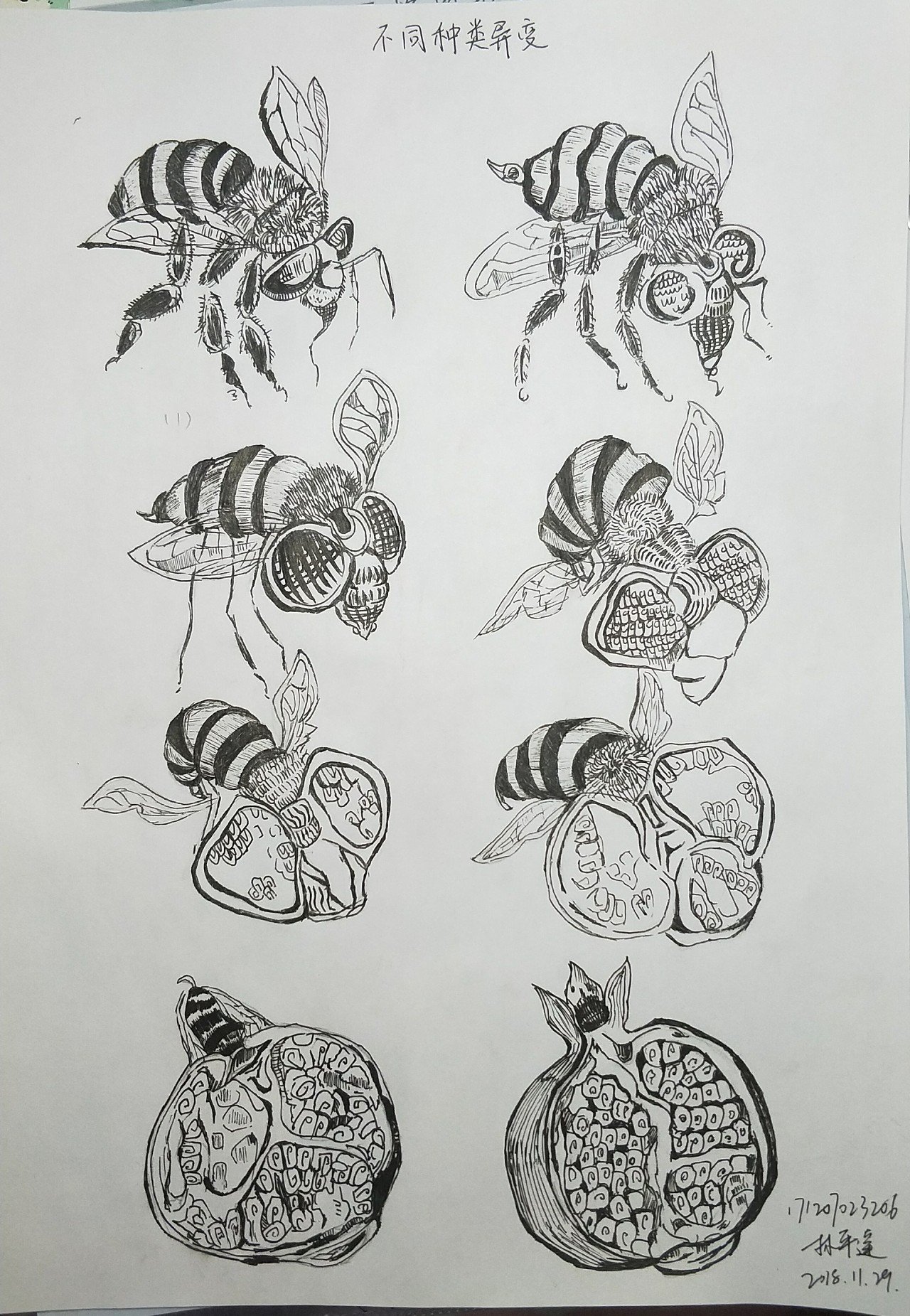 平面设计需要临摹的作品