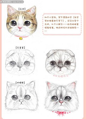 平面设计要学画什么画最好