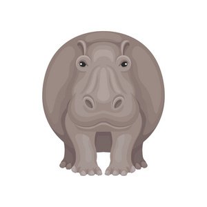 河马插画平面设计图片