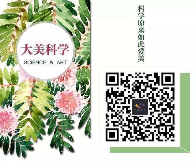 清流平面设计专业
