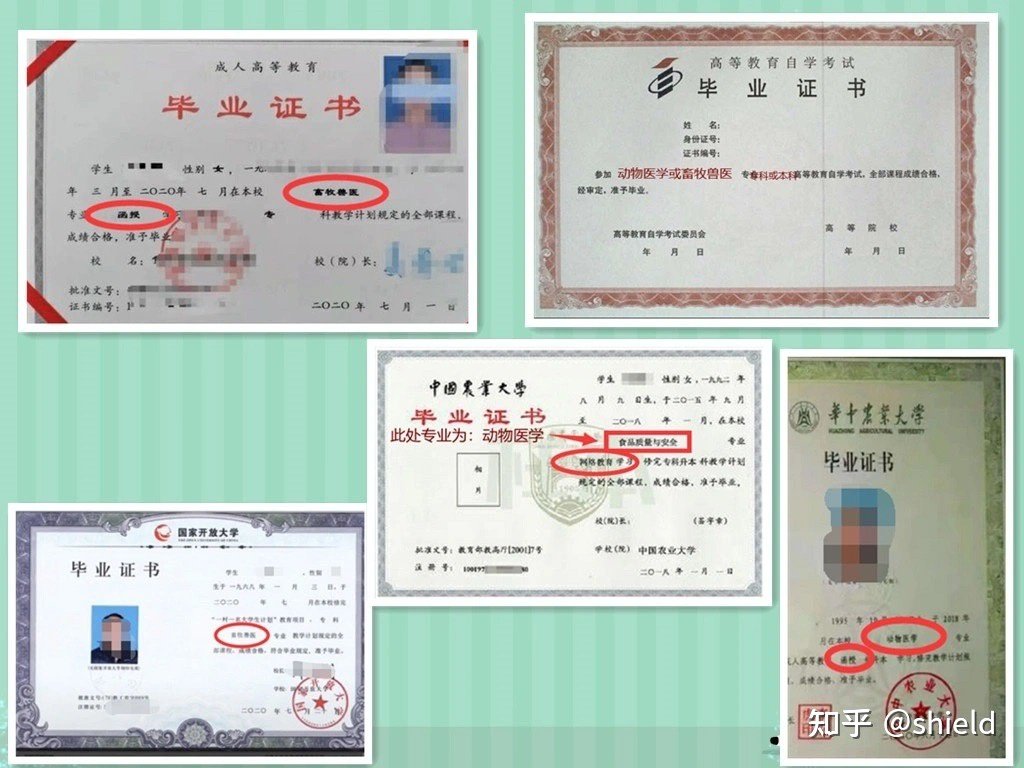 大专平面设计证好考吗