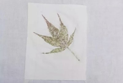 植物拓印平面设计图案大全