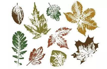 植物拓印平面设计图案大全