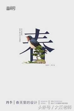 平面设计师夏秋