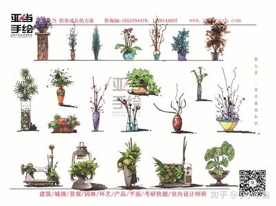 平面设计手绘植物室内