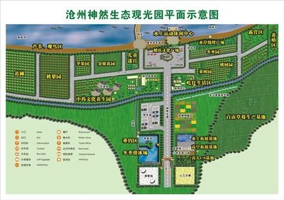 沧州铁狮子平面设计图