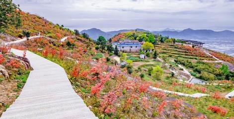 白龙山施工平面设计图